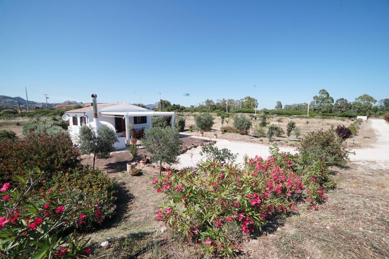 Villa Da Luciana Orosei Dış mekan fotoğraf